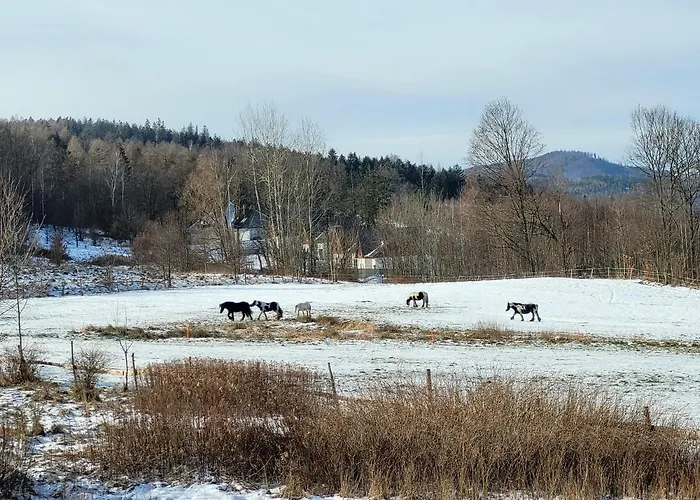 Z Jacuzzi Zacisze W Gorach Chalet